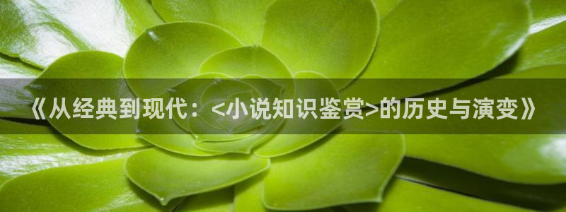 牛眼看书网站：《从经典到现代：<小说知识鉴赏>的历史与演变》